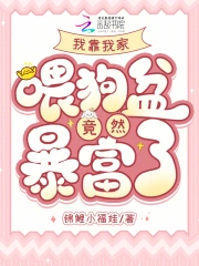 司厉辰颜辞兮