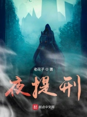 久久小说阅读网