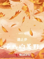 千年灯火待卿归 千年灯火待卿归