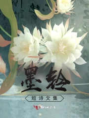 系统TXT资源