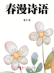 某科学的宅电磁炮 某科学的宅电磁炮