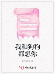 官婿美人图小说全文免费阅读 官婿美人图小说全文免费阅读