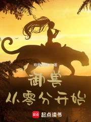 成品小说网站入口网页版怎样打开