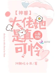 不让江山txt