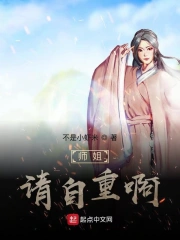 猎影之狼暗夜