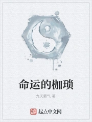 拍摄指南txt完结百度云