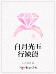 苍龙至尊免费阅读 苍龙至尊免费阅读