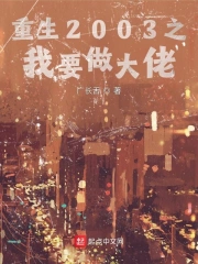 丁哲主角的小说 丁哲主角的小说