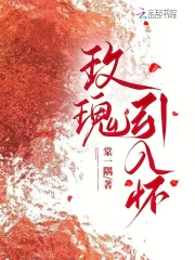刮伦小说