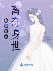 坏蛋内传原著小说叫什么