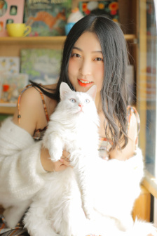 苏婷司豪是什么小说