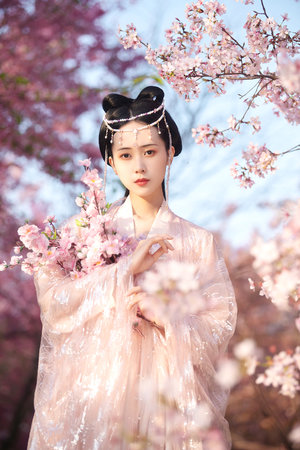 蝴蝶公墓mp3