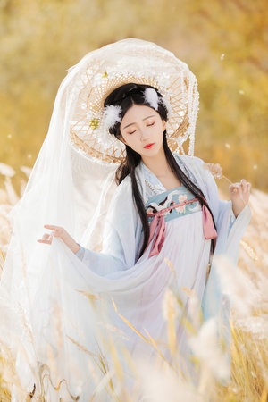 光之子全文阅读